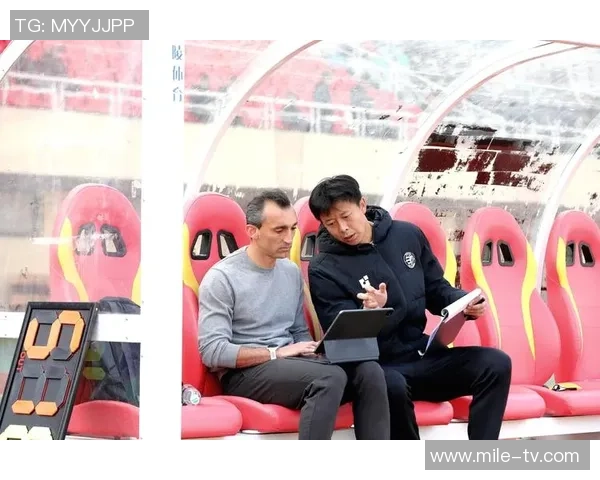 足球比赛主持人揭秘赛事背后的精彩故事与职业挑战